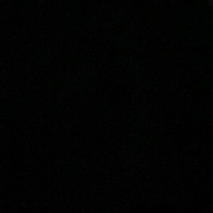 Meet your Posher, Dalton